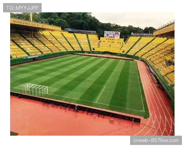 英超“足球基金会”资助项目报告：本年度新增300块社区足球场